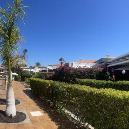 Bungalow Verdemar Maspalomas 马斯帕洛马斯 外观 照片